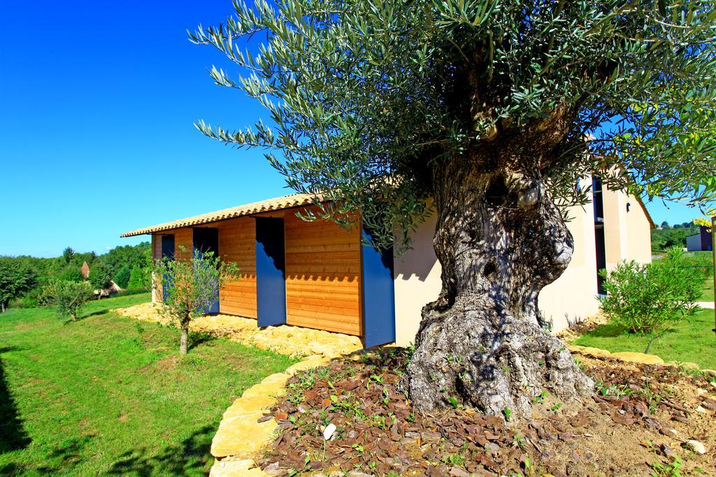 The Originals City, Hotel Albizia, Sarlat-La-Caneda Exterior photo